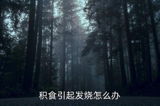 積食引起發(fā)燒怎么辦