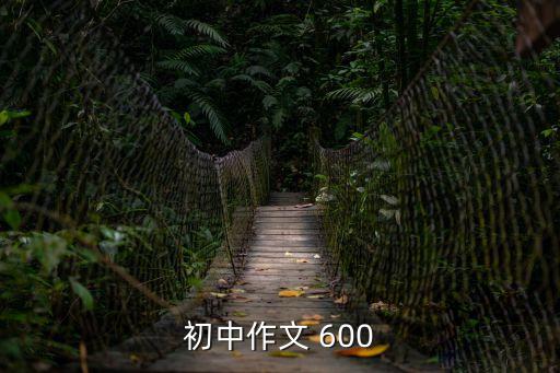 初中600字作文，初中作文 600