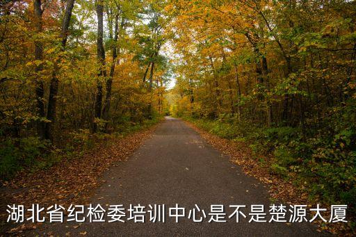 湖北省紀檢委培訓中心是不是楚源大廈