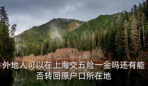 外地人上海市五險一金，外地人在上海交五險一金有多大用處