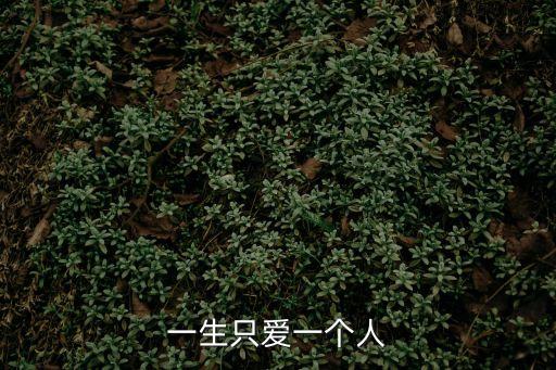 一生只愛(ài)一人，一生只愛(ài)一個(gè)人
