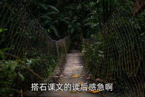 搭石教學(xué)反思，搭石一課中從老人的做法中感受到了什么