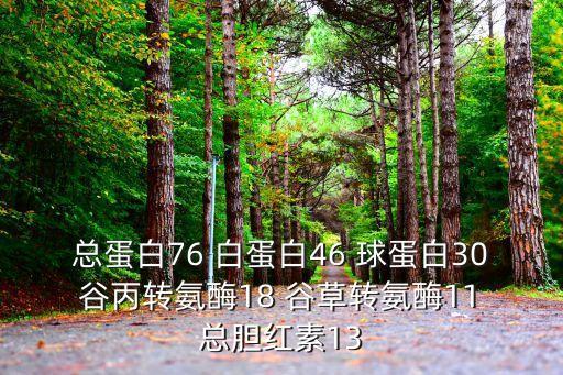 陳舜杰 上海市第四人民醫院，總蛋白76 白蛋白46 球蛋白30 谷丙轉氨酶18 谷草轉氨酶11 總膽紅素13