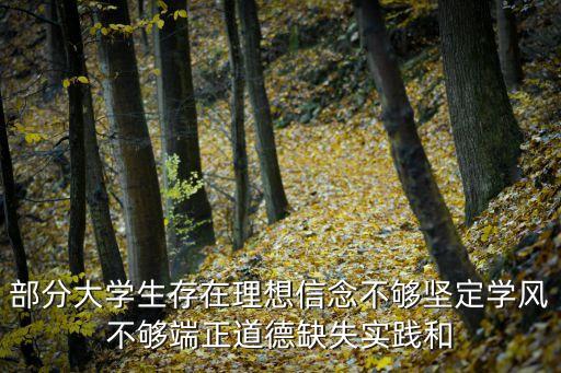 部分大學生存在理想信念不夠堅定學風不夠端正道德缺失實踐和