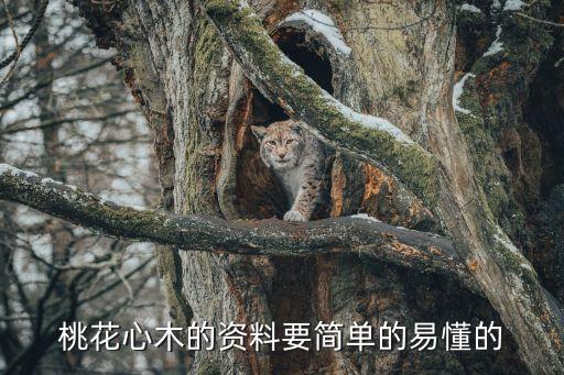 心木，  心  木