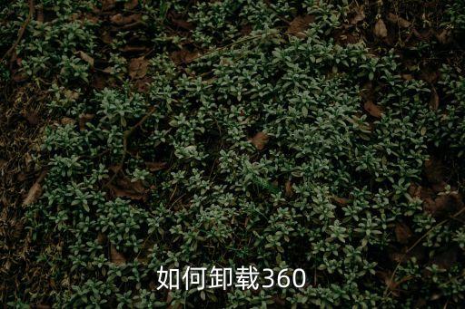 如何卸載360