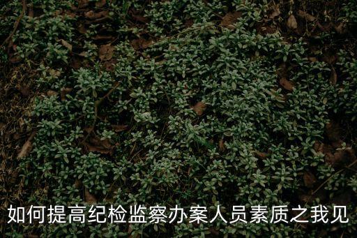 如何提高紀檢監察辦案人員素質之我見