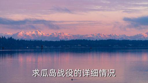 求瓜島戰役的詳細情況