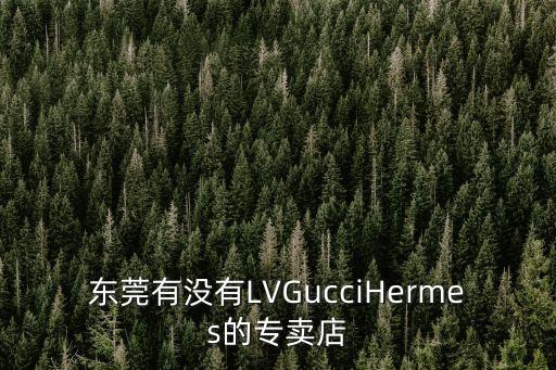 東莞有沒(méi)有LVGucciHermes的專賣(mài)店