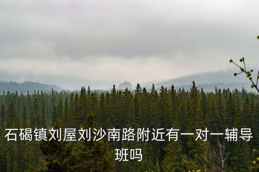 石碣鎮劉屋劉沙南路附近有一對一輔導班嗎