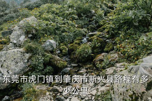 東莞距離新興縣，從東莞塘廈清湖頭回到云浮新興縣州背小學有多少公里呢