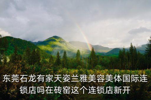 東莞石龍有家天姿蘭雅美容美體國際連鎖店嗎在磚窯這個(gè)連鎖店新開