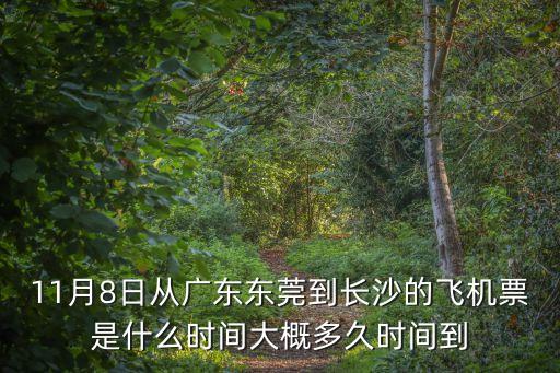 東莞去湖南長沙飛機場，11月8日從廣東東莞到長沙的飛機票是什么時間大概多久時間到