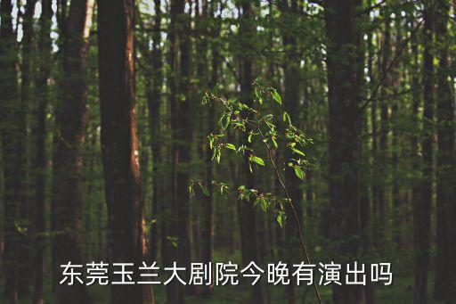 東莞玉蘭大劇院今晚有演出嗎