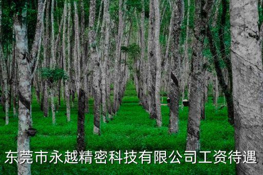 東莞市永越精密科技有限公司工資待遇