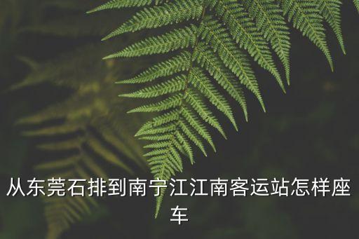 從東莞石排到南寧江江南客運(yùn)站怎樣座車