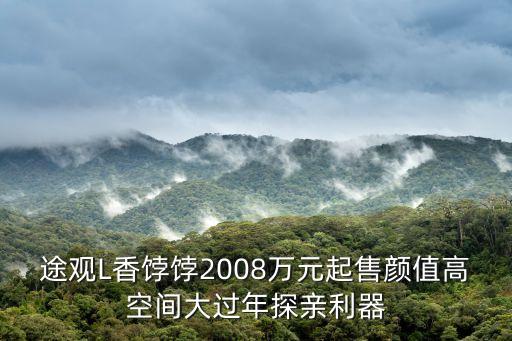 途觀L香餑餑2008萬元起售顏值高空間大過年探親利器