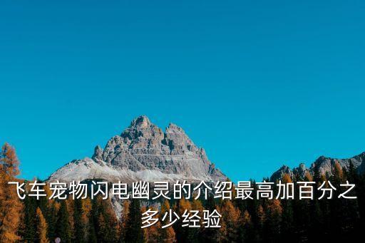 飛車寵物閃電幽靈的介紹最高加百分之多少經驗