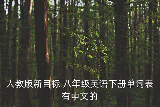 八下英語書單詞表，人教版新目標 八年級英語下冊單詞表有中文的