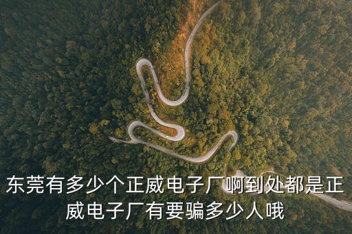 東莞有多少個正威電子廠啊到處都是正威電子廠有要騙多少人哦