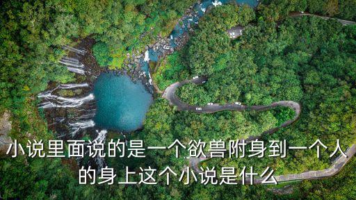 小說里面說的是一個欲獸附身到一個人的身上這個小說是什么