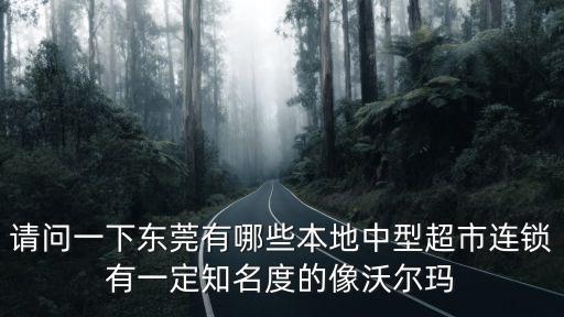 請問一下東莞有哪些本地中型超市連鎖有一定知名度的像沃爾瑪