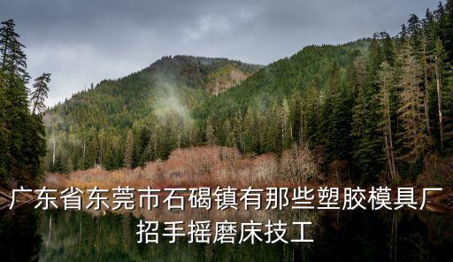 廣東省東莞市石碣鎮(zhèn)有那些塑膠模具廠招手搖磨床技工