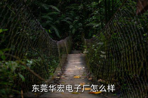 東莞華宏 dba，東莞華宏眼鏡廠怎么樣2022
