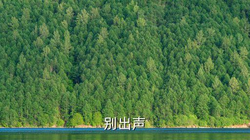 別出聲，別出聲的英文怎么說