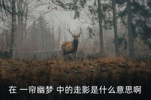 在 一簾幽夢 中的走影是什么意思啊