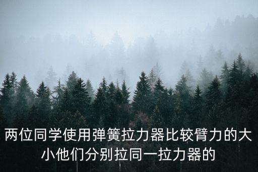 兩位同學使用彈簧拉力器比較臂力的大小他們分別拉同一拉力器的