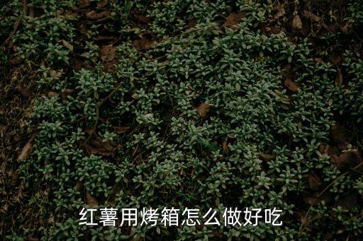 烤箱烤紅薯的做法，紅薯用烤箱怎么做好吃