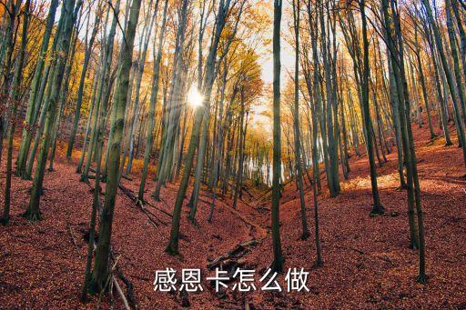 感恩卡制作，感恩賀卡怎么做