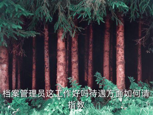檔案管理員好做嗎，檔案管理員這工作好嗎待遇方面如何請指教