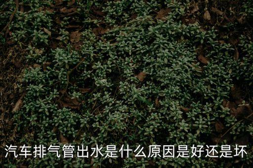 排氣管出水，排氣管有水排出