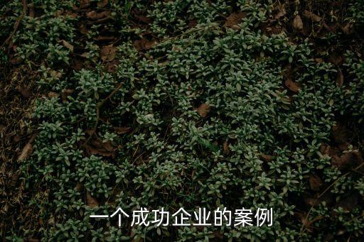 一個成功企業的案例
