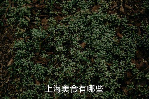 上海美食有哪些