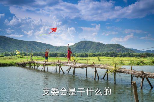 支委會(huì)，什么是支部委員會(huì)