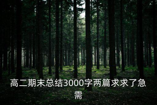 高二期末總結(jié)3000字兩篇求求了急需