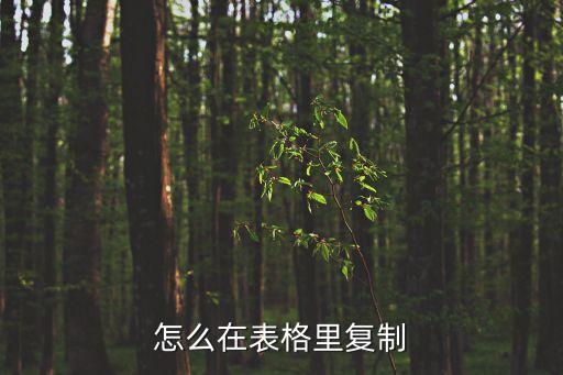 怎么在表格里復(fù)制