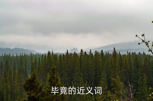 畢竟的近義詞，畢竟最接近的近義詞