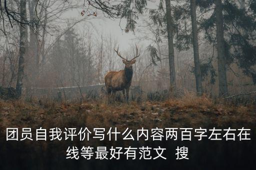 團員自我評價寫什么內容兩百字左右在線等最好有范文  搜