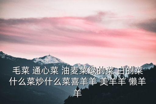 油麥菜圖片，全日食的圖片