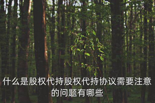 股權代持，什么是股權代持股權代持協議需要注意的問題有哪些