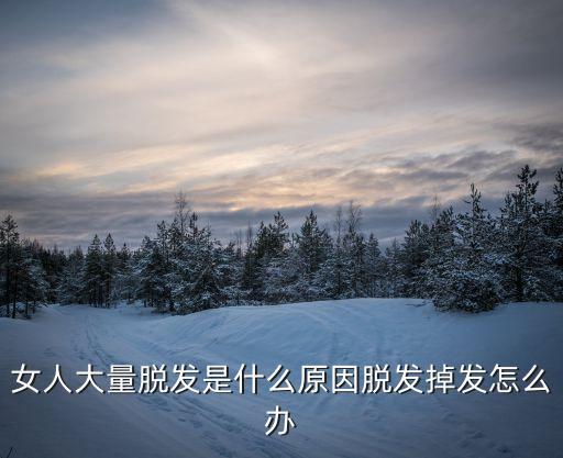 女人大量脫發是什么原因脫發掉發怎么辦
