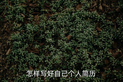 怎樣寫好自己個人簡歷