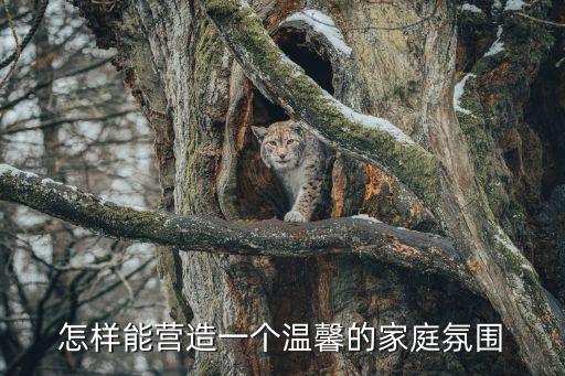 家庭氛圍，家庭氛圍的含義及重要性