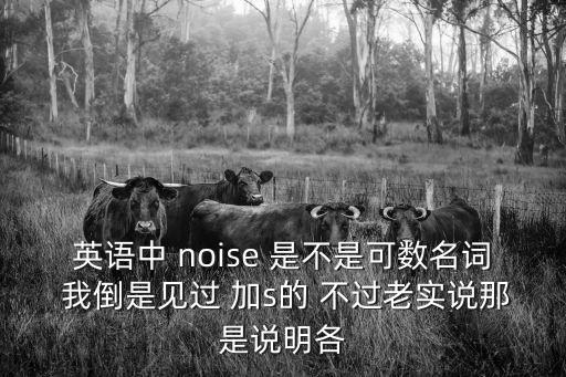 噪音的英文，sound的中文意思是什么