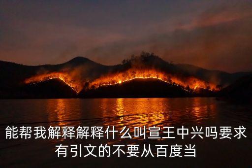 能幫我解釋解釋什么叫宣王中興嗎要求有引文的不要從百度當