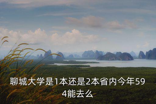 聊城大學(xué)是1本還是2本省內(nèi)今年594能去么